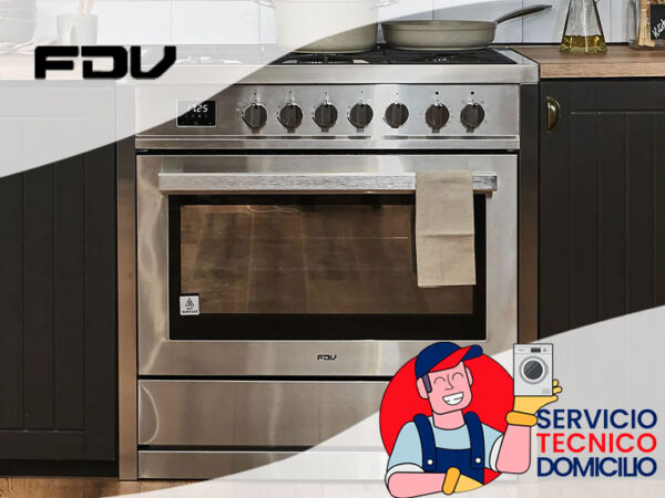 Servicio técnico Fdv en santiago