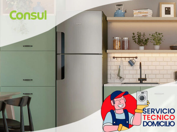 servicio tecnico consul en santiago