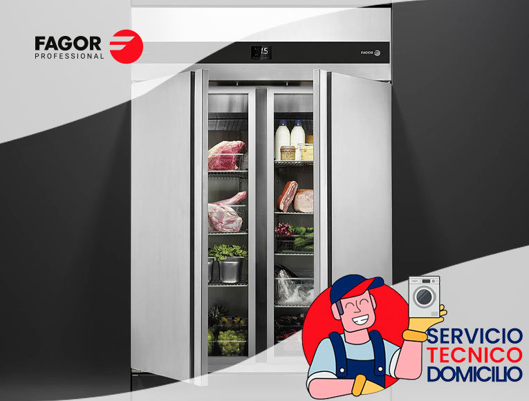 servicio tecnico fagor en santiago