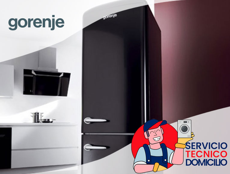 Servicio tecnico Gorenje en santiago