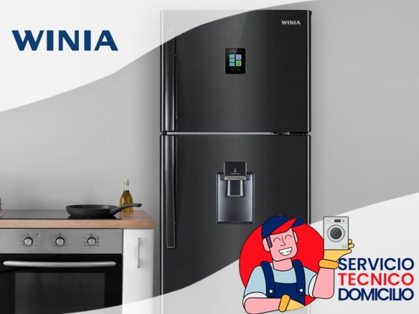 Servicio técnico Winia en Santiago