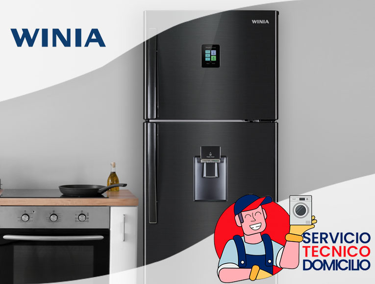 Servicio técnico Winia en Santiago